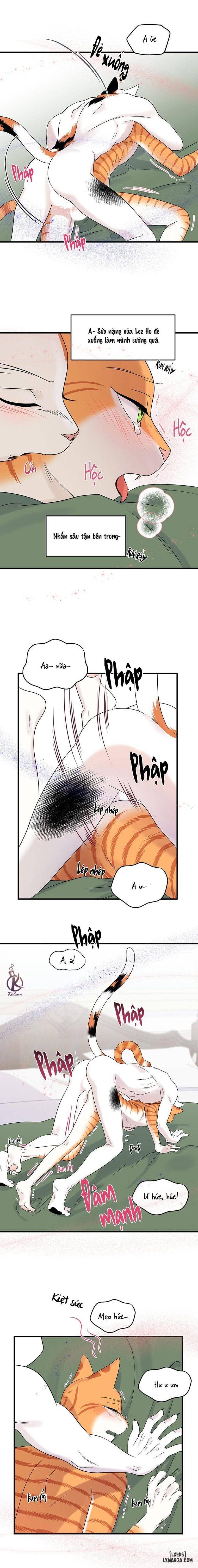 đọc truyện Dự Án Xanh Chương 52 ảnh 14 tại Thiên Thai Truyện