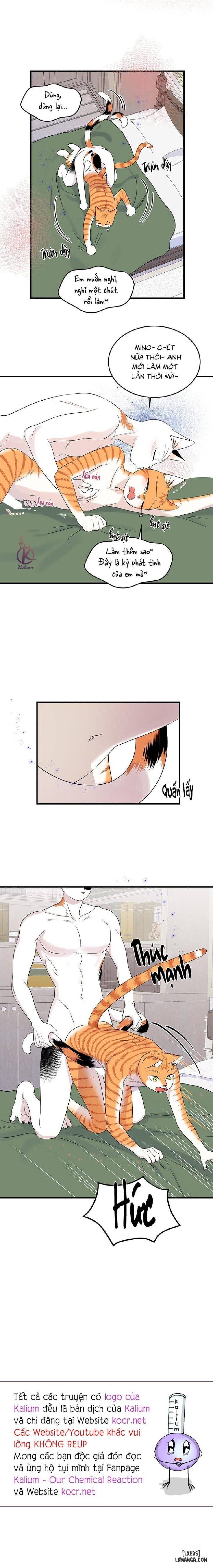 đọc truyện Dự Án Xanh Chương 52 ảnh 15 tại Thiên Thai Truyện