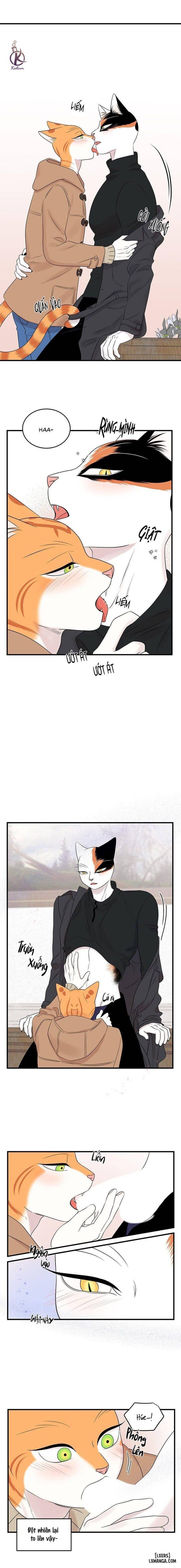 đọc truyện Dự Án Xanh Chương 52 ảnh 5 tại Thiên Thai Truyện