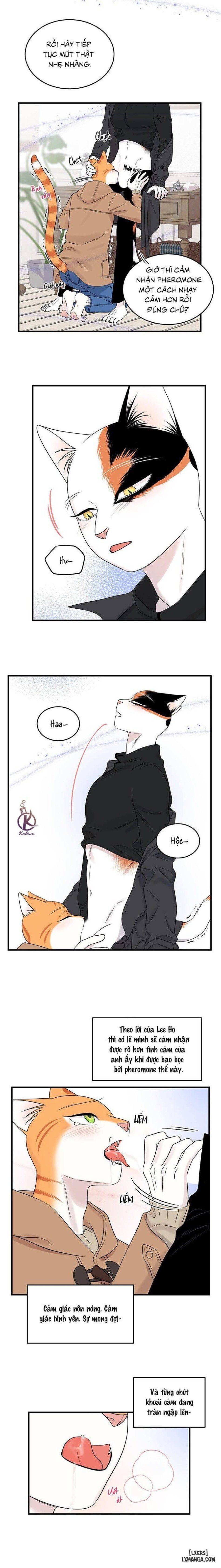 đọc truyện Dự Án Xanh Chương 52 ảnh 7 tại Thiên Thai Truyện