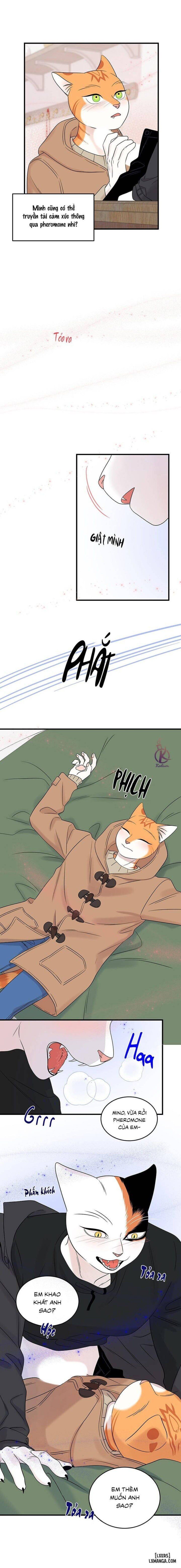 đọc truyện Dự Án Xanh Chương 52 ảnh 8 tại Thiên Thai Truyện