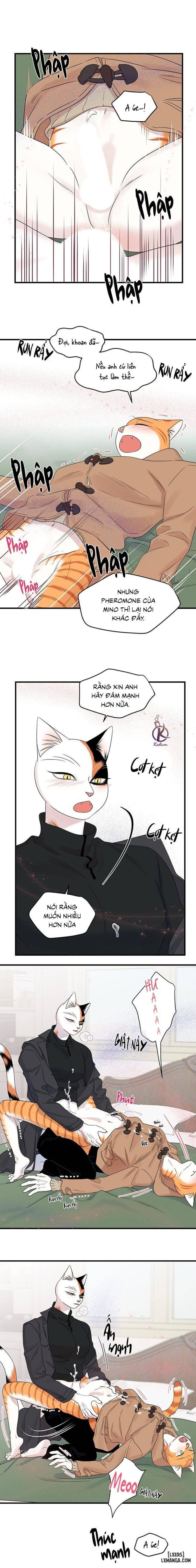 đọc truyện Dự Án Xanh Chương 52 ảnh 11 tại Thiên Thai Truyện