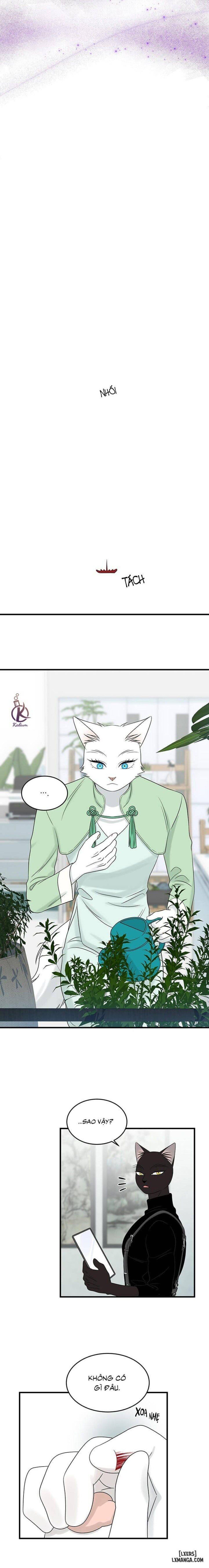 đọc truyện Dự Án Xanh Chương 53 ảnh 12 tại Thiên Thai Truyện