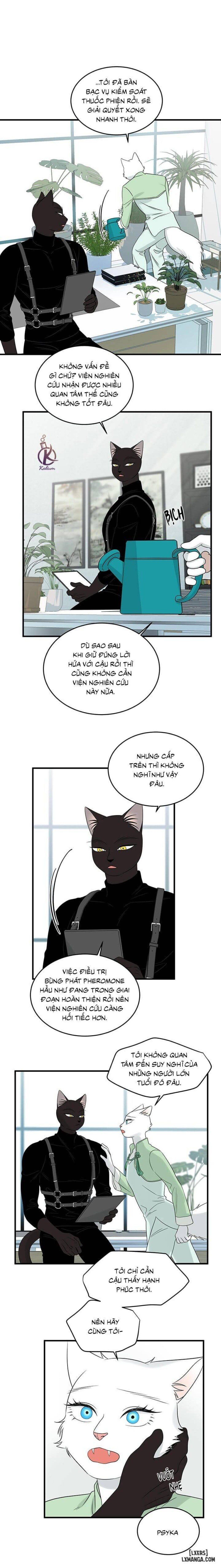 đọc truyện Dự Án Xanh Chương 53 ảnh 13 tại Thiên Thai Truyện