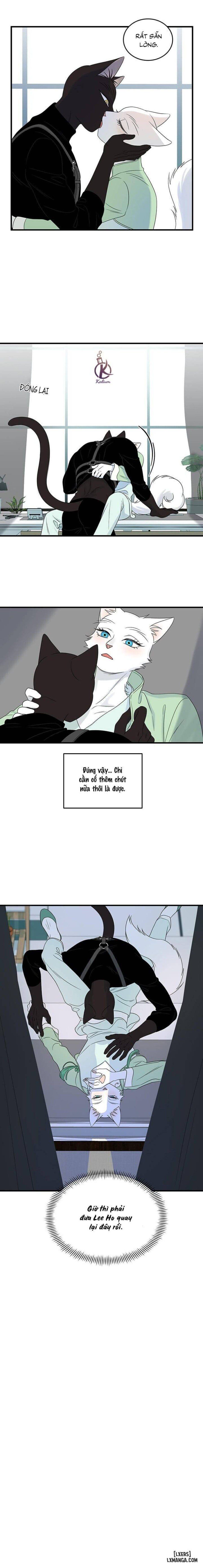 đọc truyện Dự Án Xanh Chương 53 ảnh 15 tại Thiên Thai Truyện