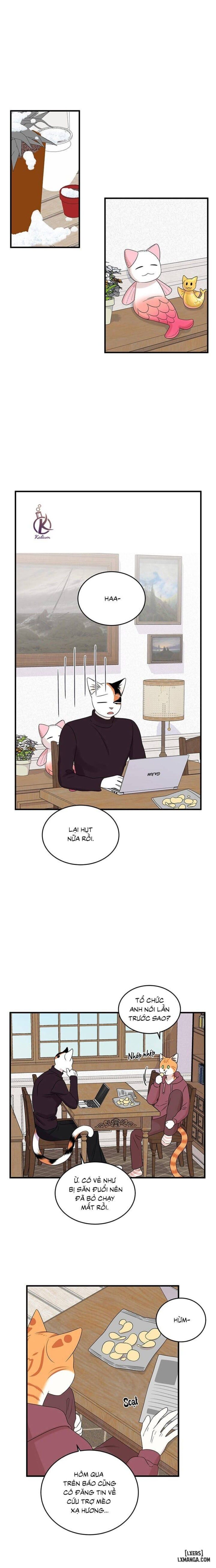 đọc truyện Dự Án Xanh Chương 53 ảnh 16 tại Thiên Thai Truyện