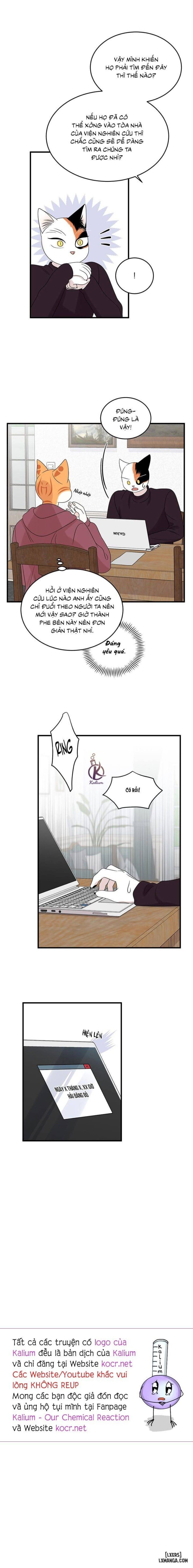 đọc truyện Dự Án Xanh Chương 53 ảnh 17 tại Thiên Thai Truyện