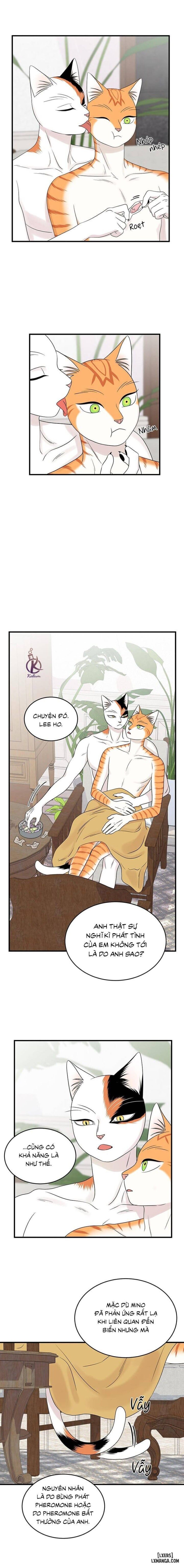 đọc truyện Dự Án Xanh Chương 53 ảnh 5 tại Thiên Thai Truyện