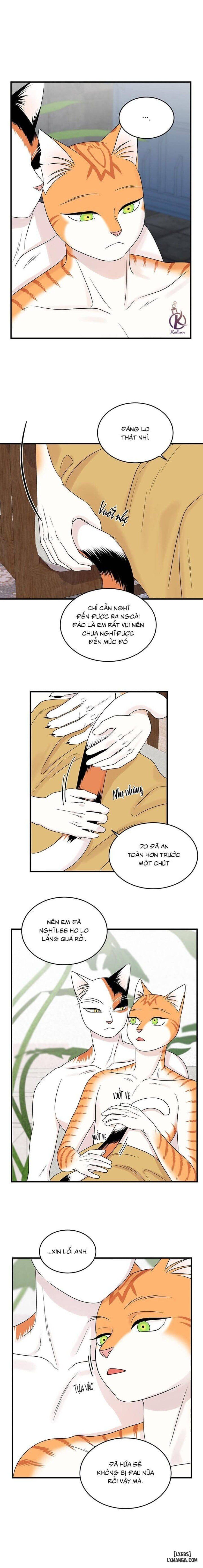 đọc truyện Dự Án Xanh Chương 53 ảnh 6 tại Thiên Thai Truyện