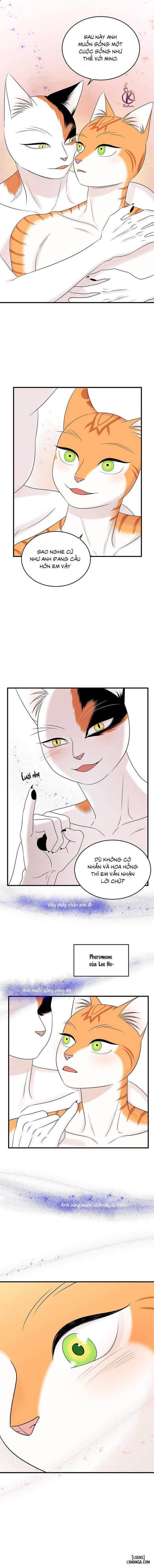 đọc truyện Dự Án Xanh Chương 53 ảnh 8 tại Thiên Thai Truyện