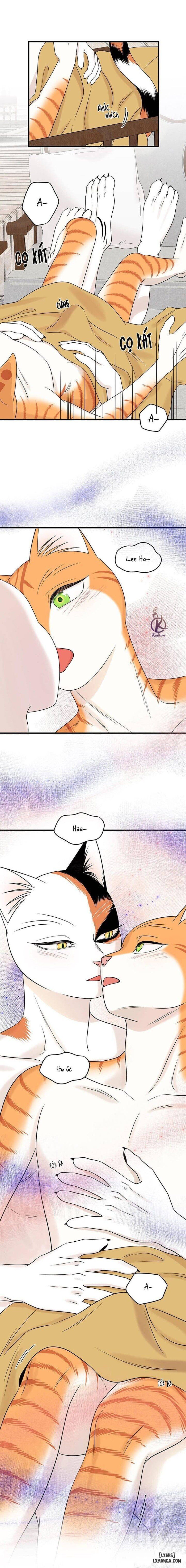 đọc truyện Dự Án Xanh Chương 53 ảnh 10 tại Thiên Thai Truyện