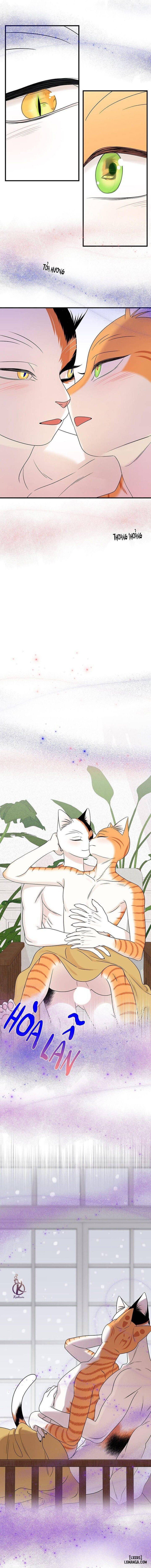 đọc truyện Dự Án Xanh Chương 53 ảnh 11 tại Thiên Thai Truyện