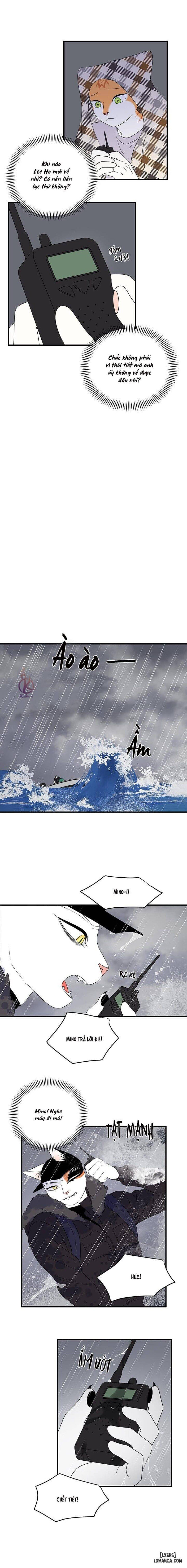 đọc truyện Dự Án Xanh Chương 54 ảnh 13 tại Thiên Thai Truyện