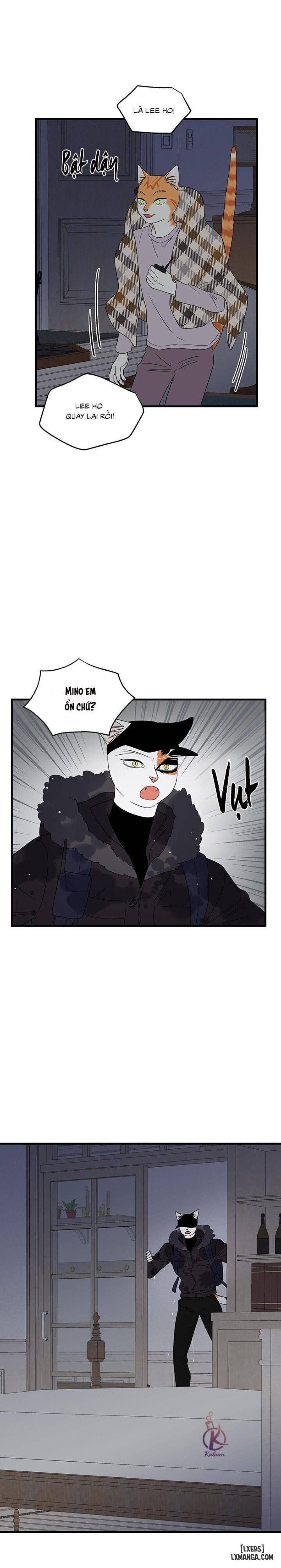 đọc truyện Dự Án Xanh Chương 54 ảnh 15 tại Thiên Thai Truyện