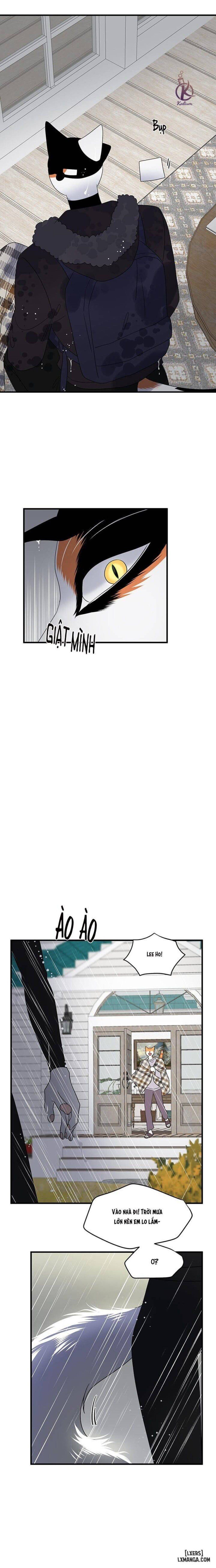 đọc truyện Dự Án Xanh Chương 54 ảnh 17 tại Thiên Thai Truyện