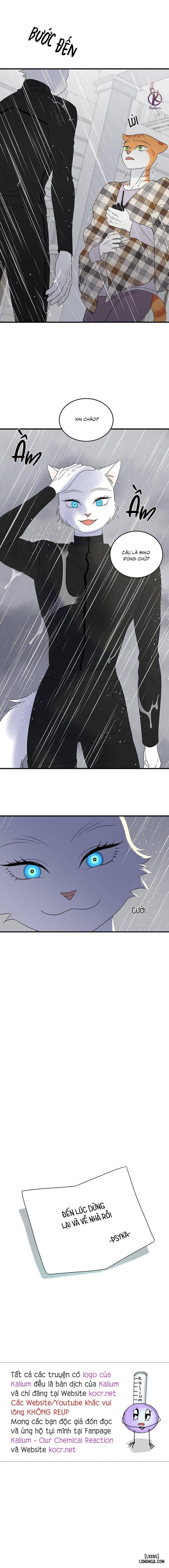 đọc truyện Dự Án Xanh Chương 54 ảnh 18 tại Thiên Thai Truyện