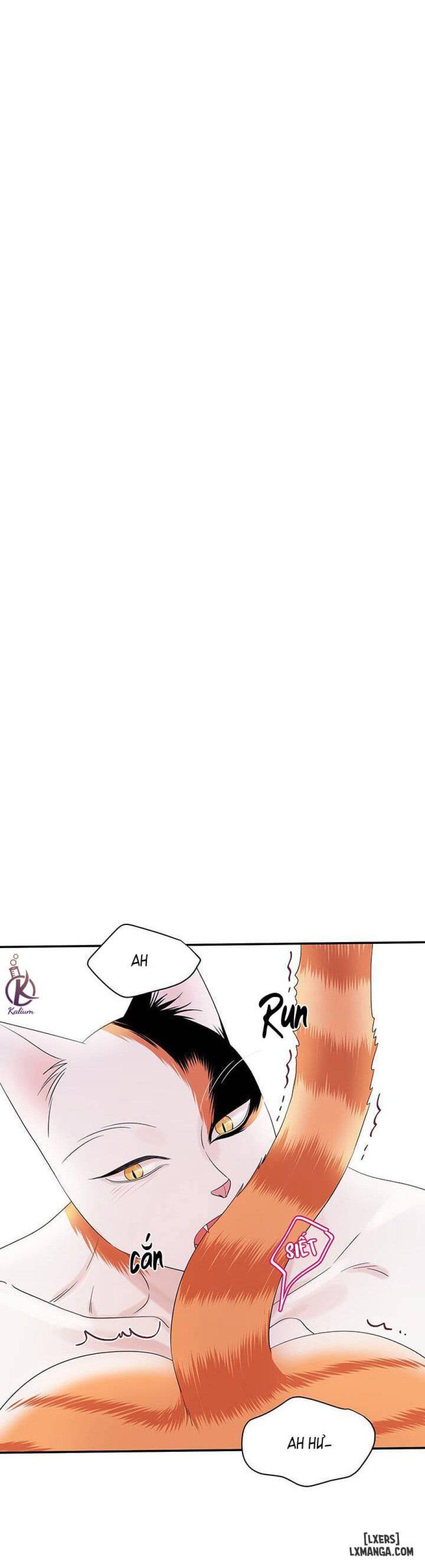 đọc truyện Dự Án Xanh Chương 6 ảnh 12 tại Thiên Thai Truyện