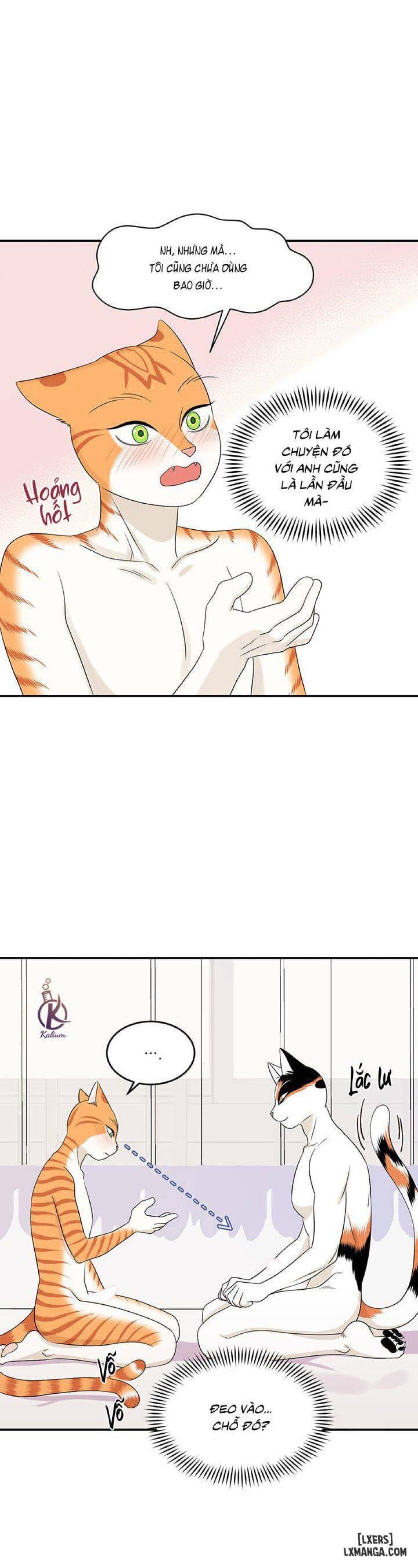 đọc truyện Dự Án Xanh Chương 6 ảnh 18 tại Thiên Thai Truyện