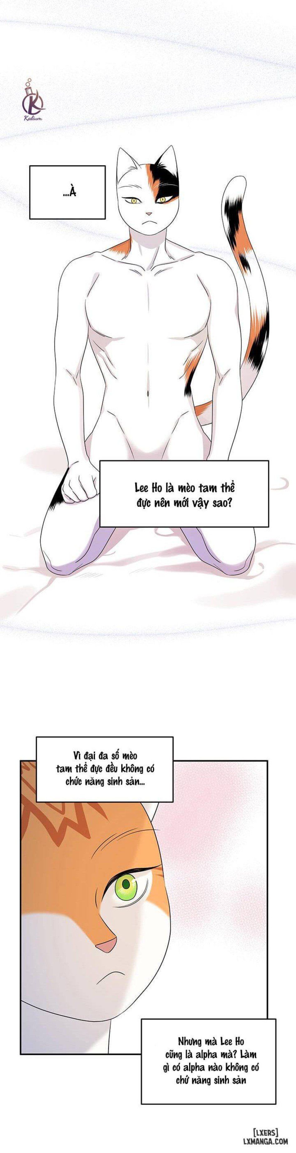 đọc truyện Dự Án Xanh Chương 6 ảnh 20 tại Thiên Thai Truyện