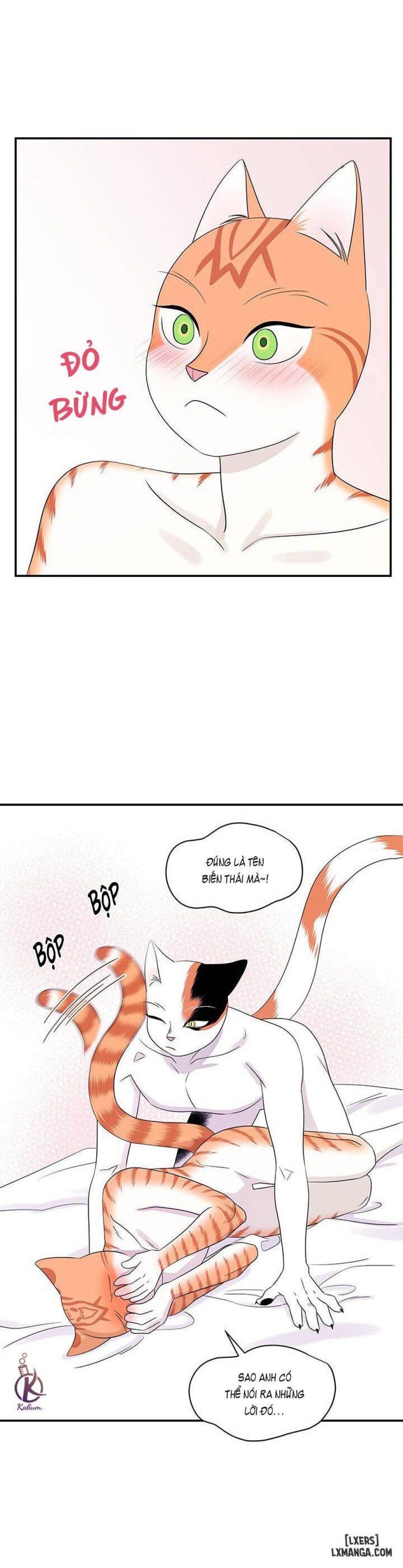 đọc truyện Dự Án Xanh Chương 6 ảnh 4 tại Thiên Thai Truyện