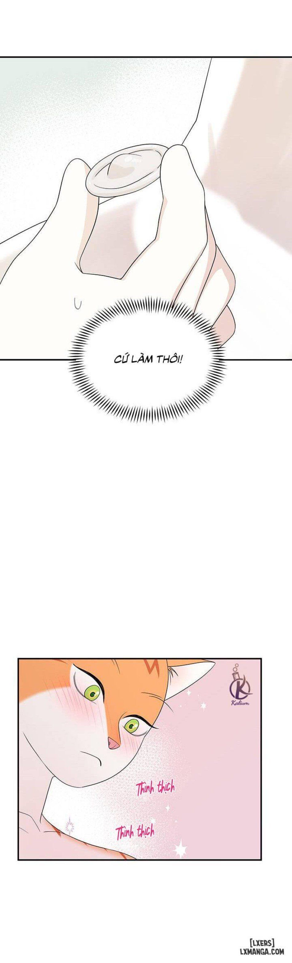 đọc truyện Dự Án Xanh Chương 6 ảnh 22 tại Thiên Thai Truyện