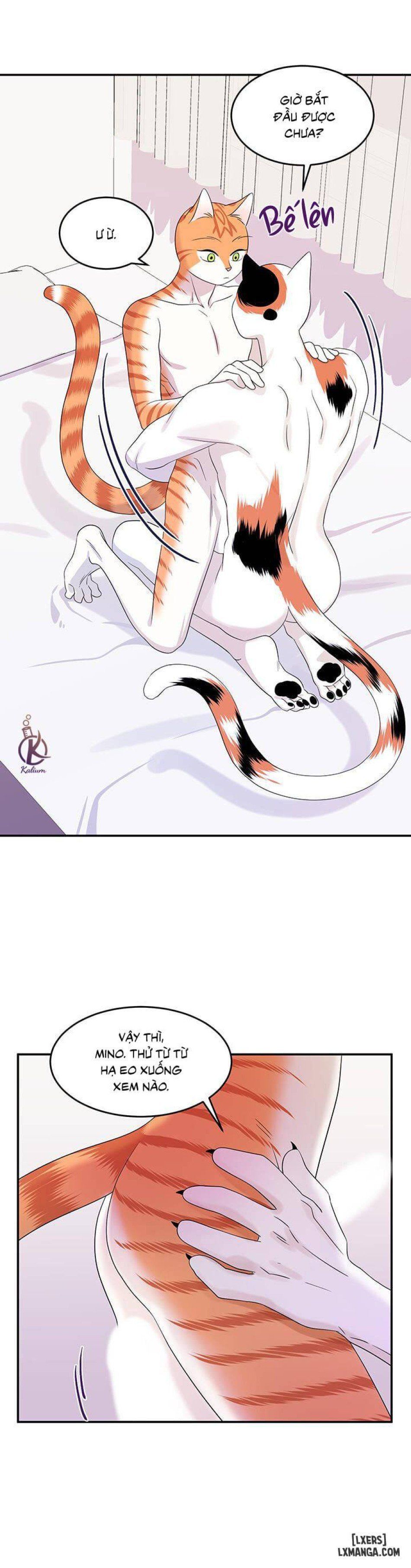 đọc truyện Dự Án Xanh Chương 6 ảnh 24 tại Thiên Thai Truyện