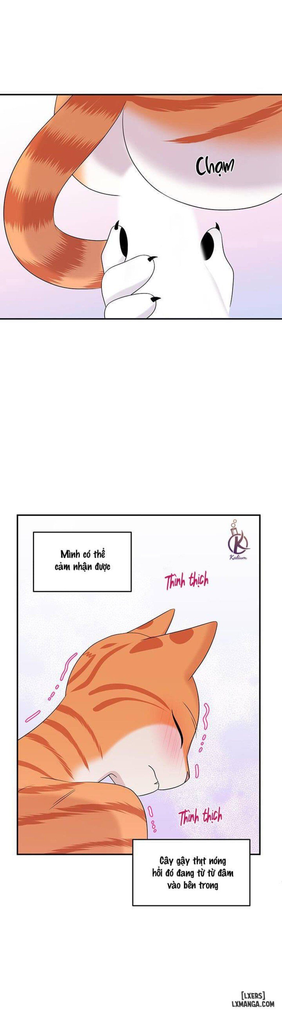 đọc truyện Dự Án Xanh Chương 6 ảnh 26 tại Thiên Thai Truyện