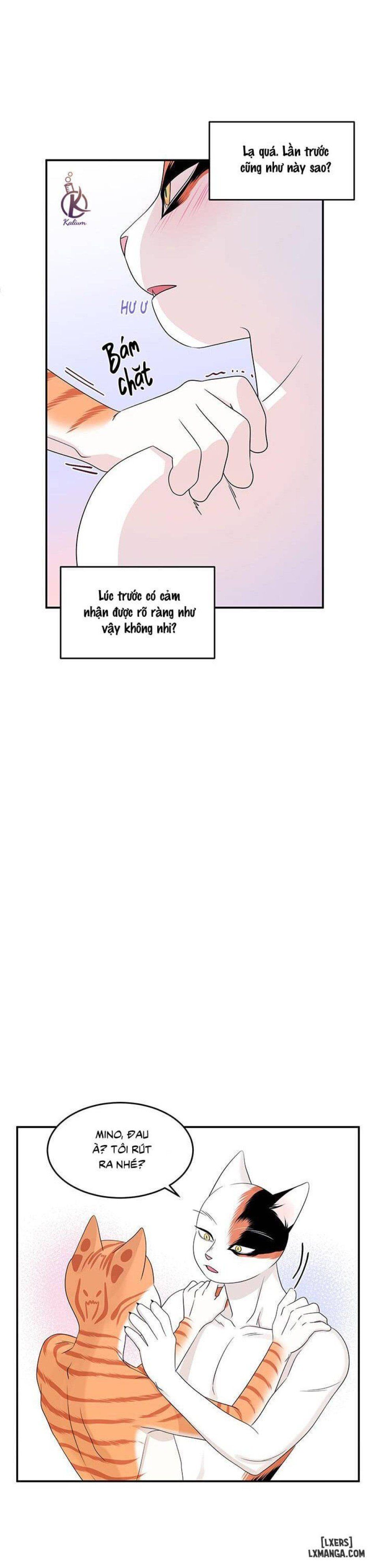 đọc truyện Dự Án Xanh Chương 6 ảnh 27 tại Thiên Thai Truyện