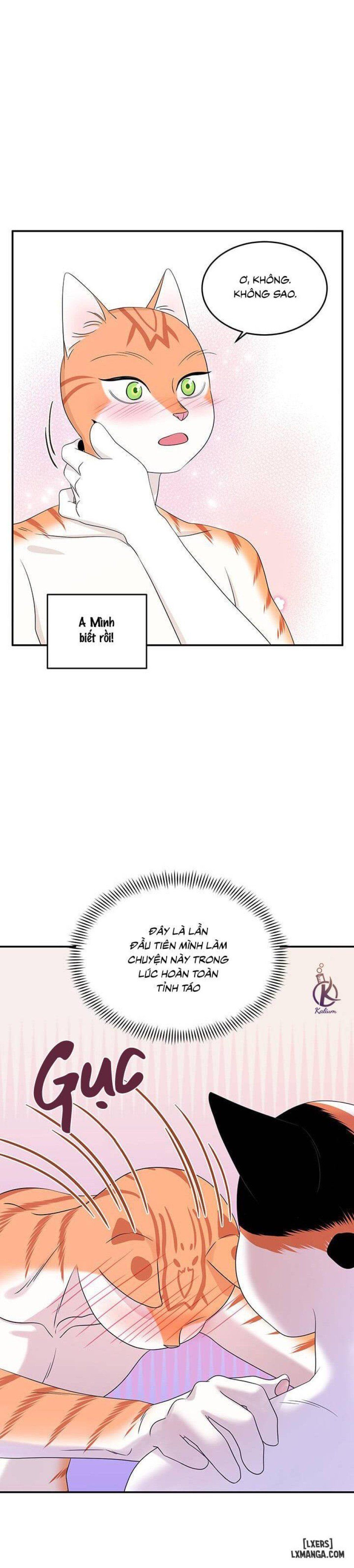 đọc truyện Dự Án Xanh Chương 6 ảnh 28 tại Thiên Thai Truyện