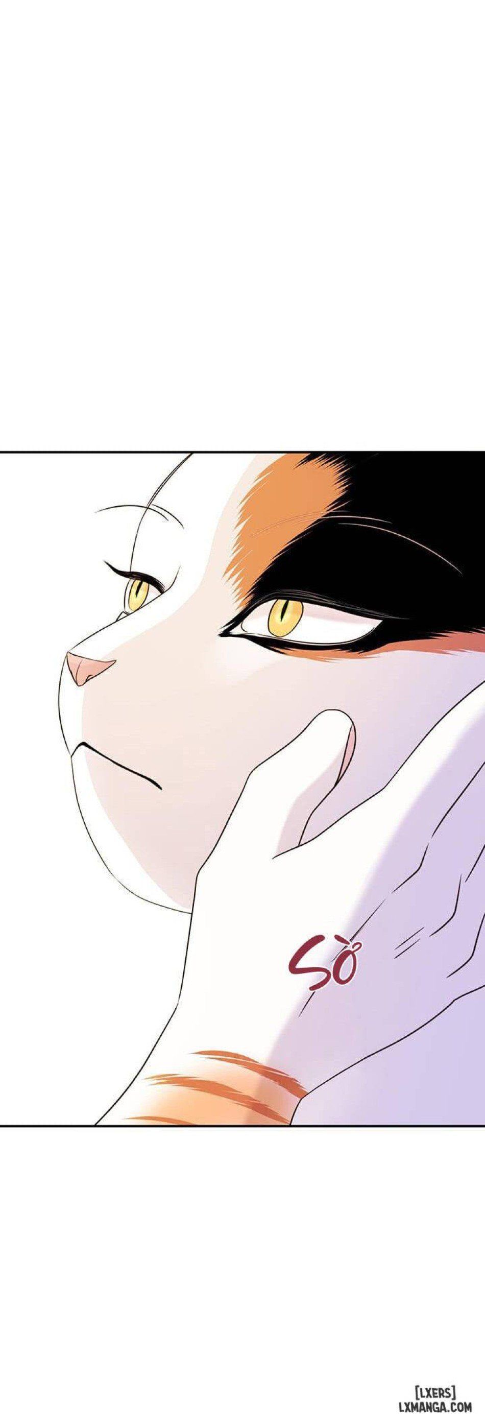 đọc truyện Dự Án Xanh Chương 6 ảnh 31 tại Thiên Thai Truyện