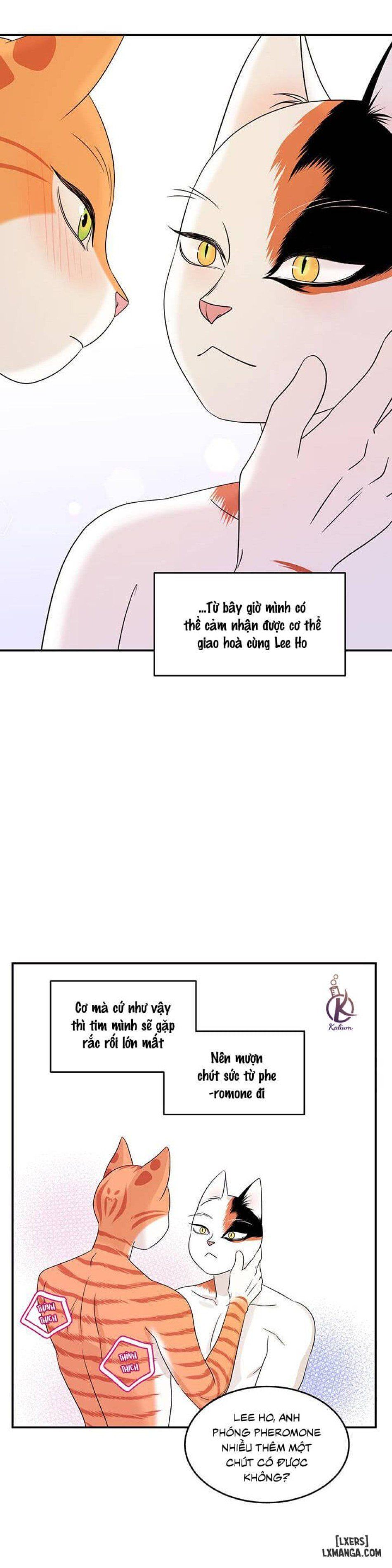 đọc truyện Dự Án Xanh Chương 6 ảnh 32 tại Thiên Thai Truyện