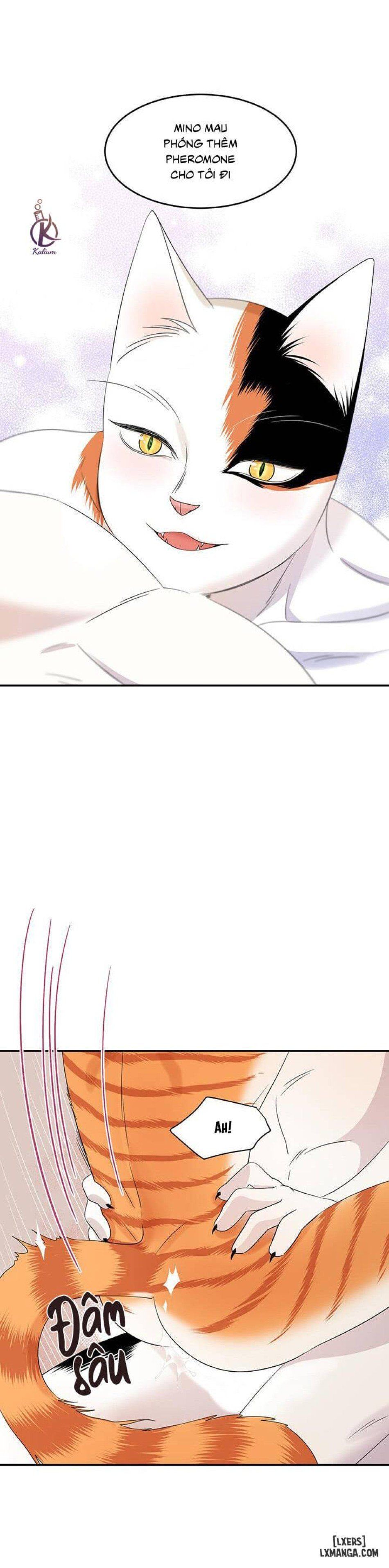 đọc truyện Dự Án Xanh Chương 6 ảnh 34 tại Thiên Thai Truyện