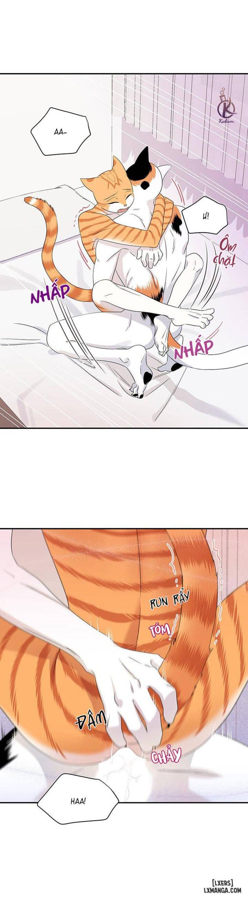 đọc truyện Dự Án Xanh Chương 6 ảnh 35 tại Thiên Thai Truyện