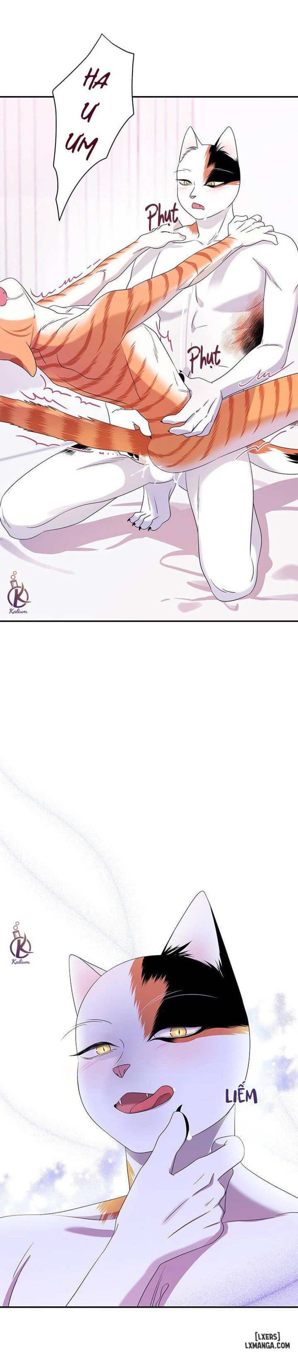 đọc truyện Dự Án Xanh Chương 6 ảnh 37 tại Thiên Thai Truyện