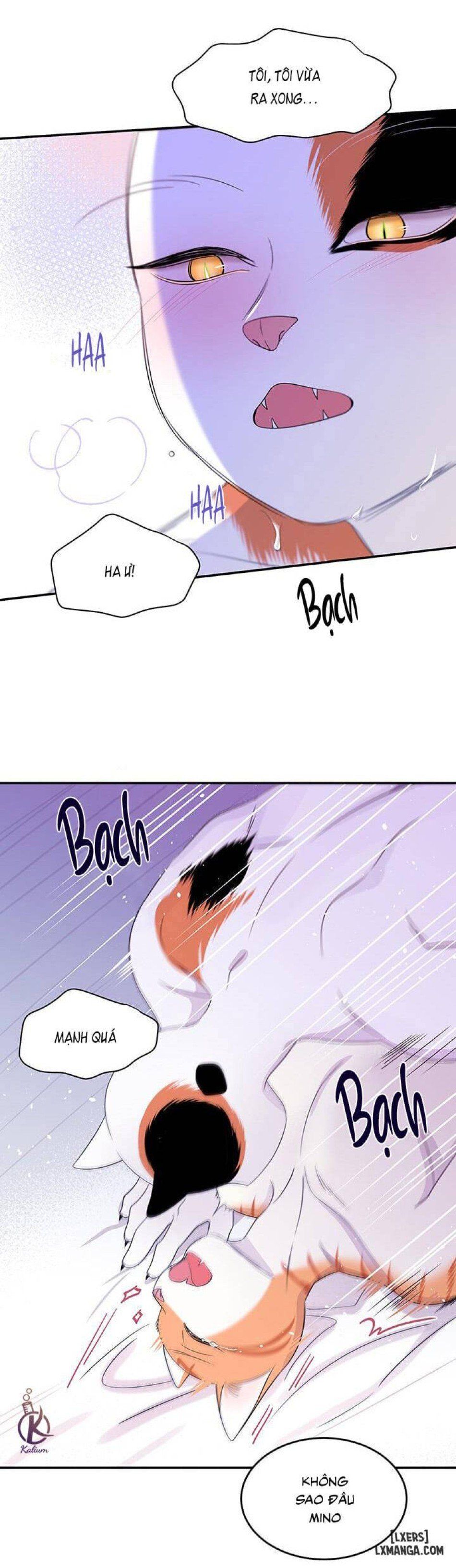 đọc truyện Dự Án Xanh Chương 6 ảnh 39 tại Thiên Thai Truyện