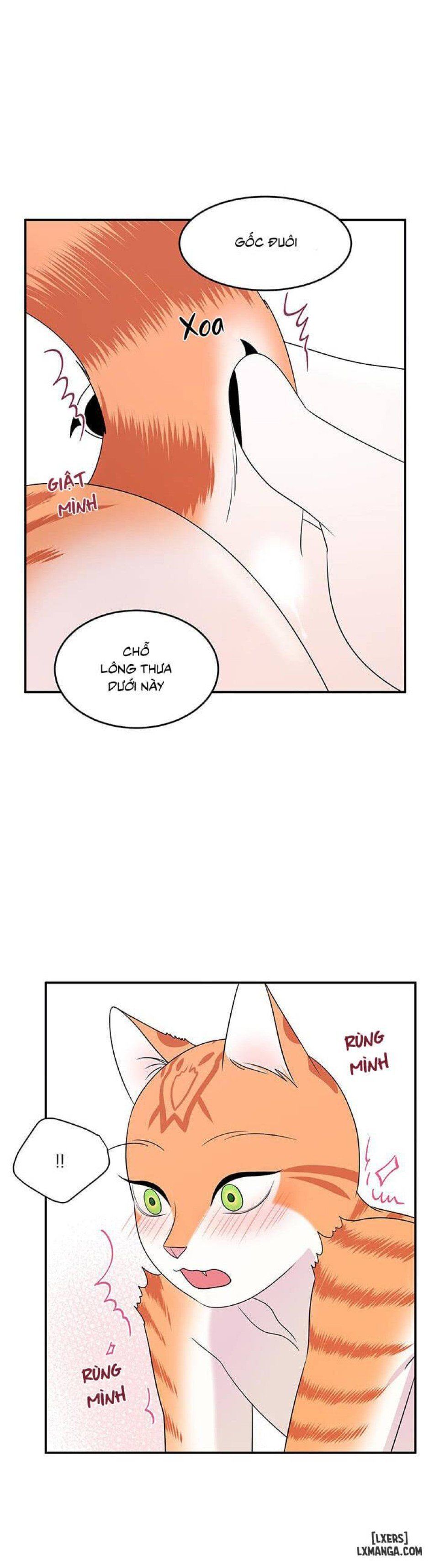 đọc truyện Dự Án Xanh Chương 6 ảnh 7 tại Thiên Thai Truyện