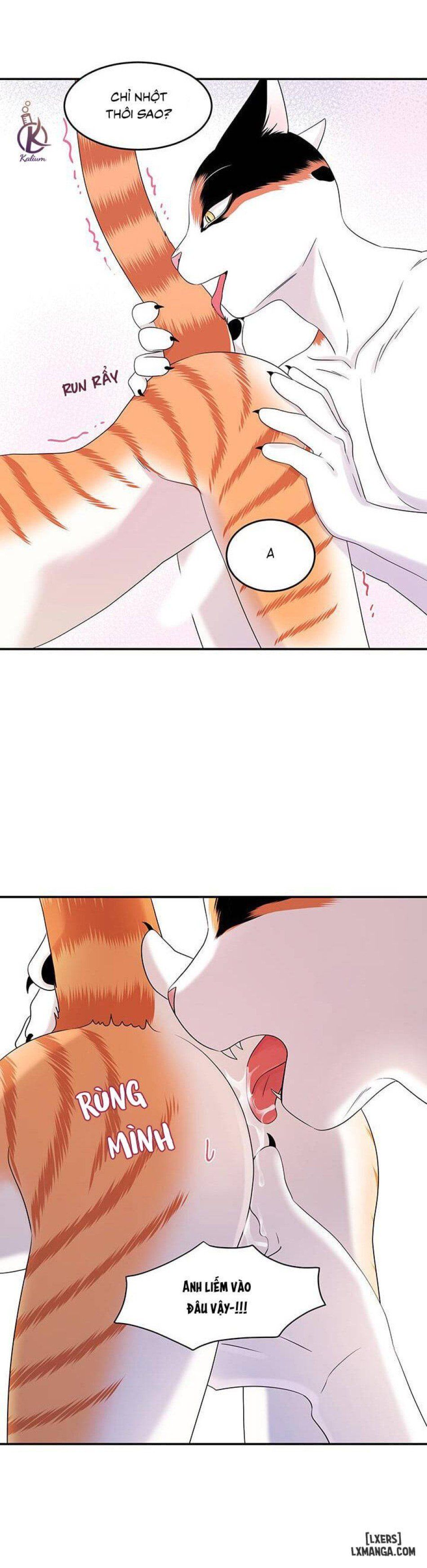 đọc truyện Dự Án Xanh Chương 6 ảnh 9 tại Thiên Thai Truyện