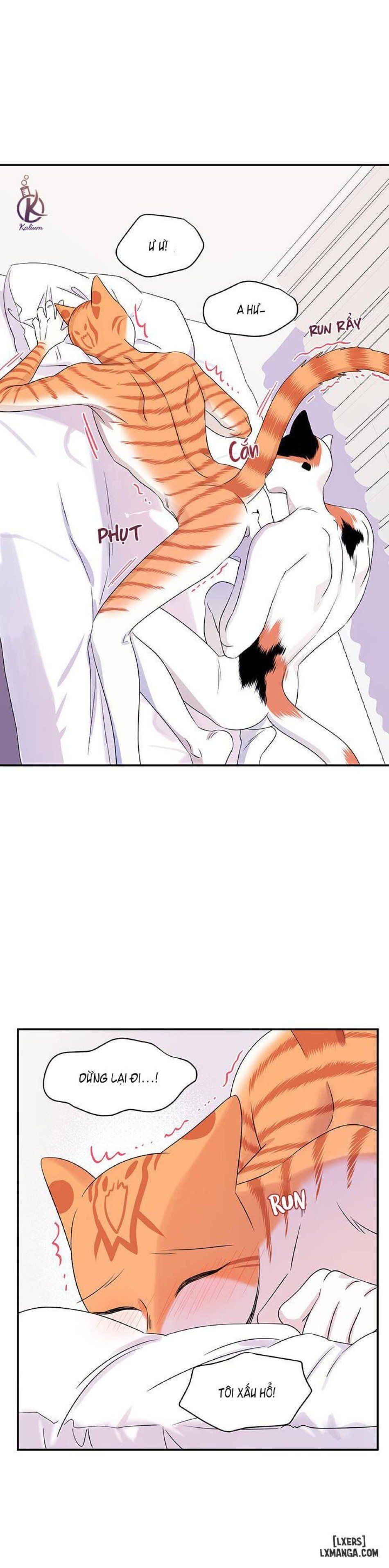 đọc truyện Dự Án Xanh Chương 6 ảnh 10 tại Thiên Thai Truyện