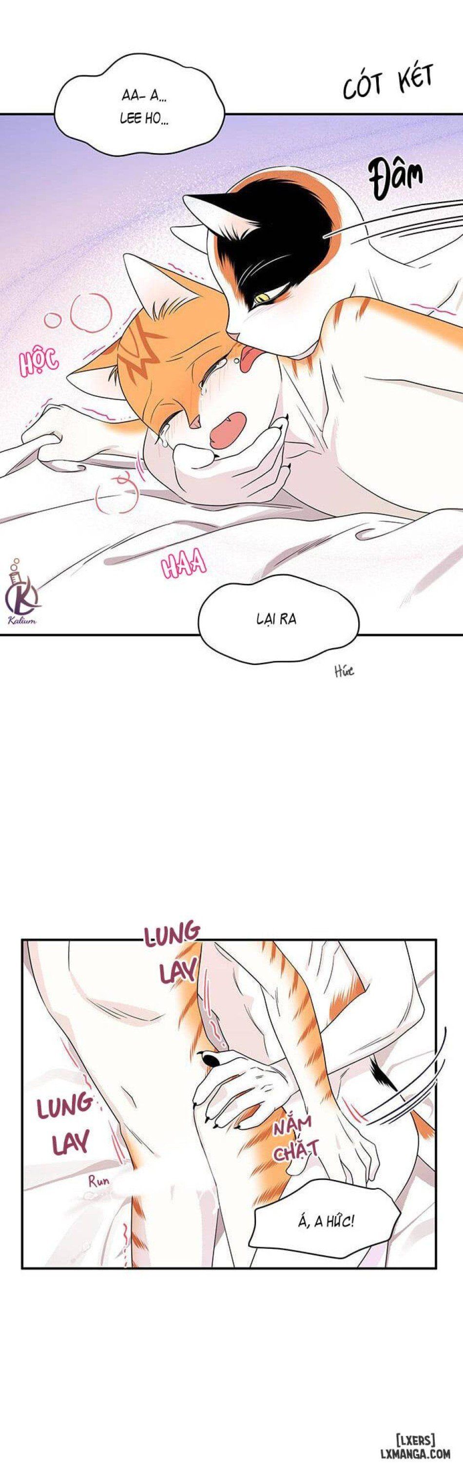 đọc truyện Dự Án Xanh Chương 7 ảnh 3 tại Thiên Thai Truyện