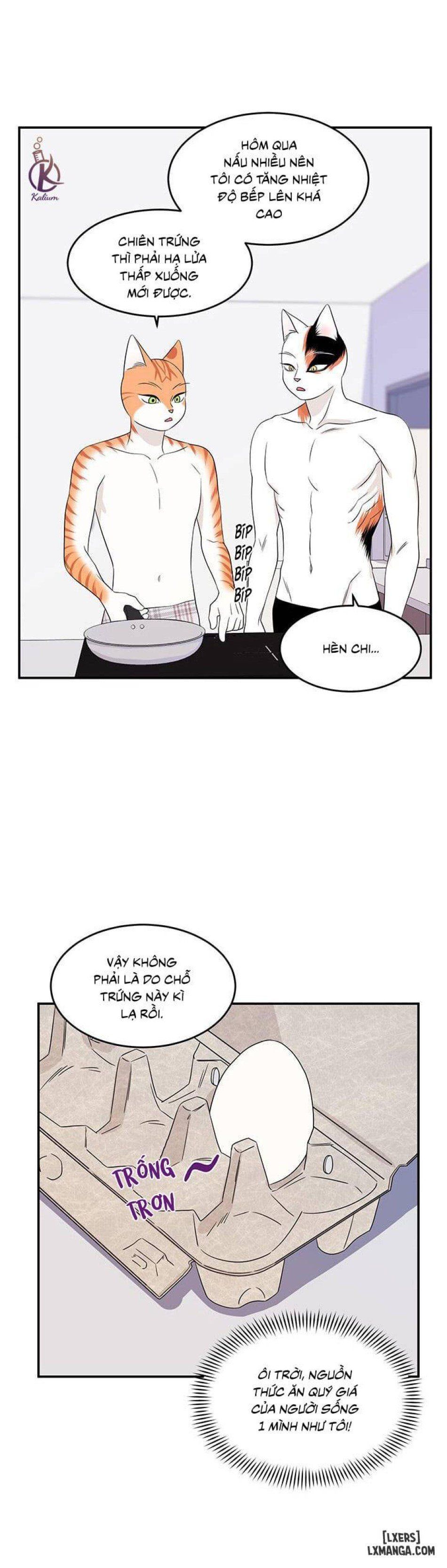 đọc truyện Dự Án Xanh Chương 7 ảnh 13 tại Thiên Thai Truyện