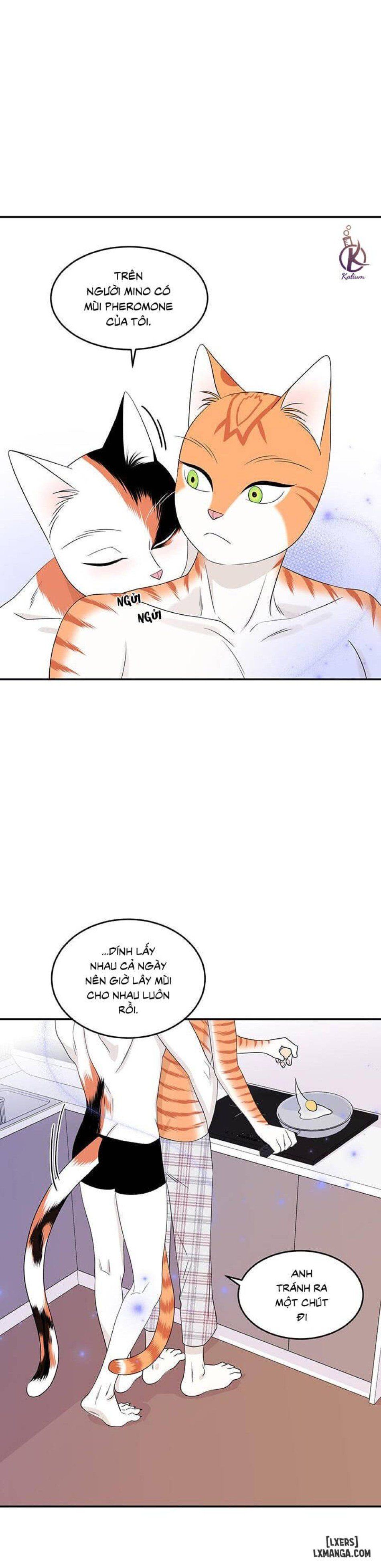 đọc truyện Dự Án Xanh Chương 7 ảnh 15 tại Thiên Thai Truyện