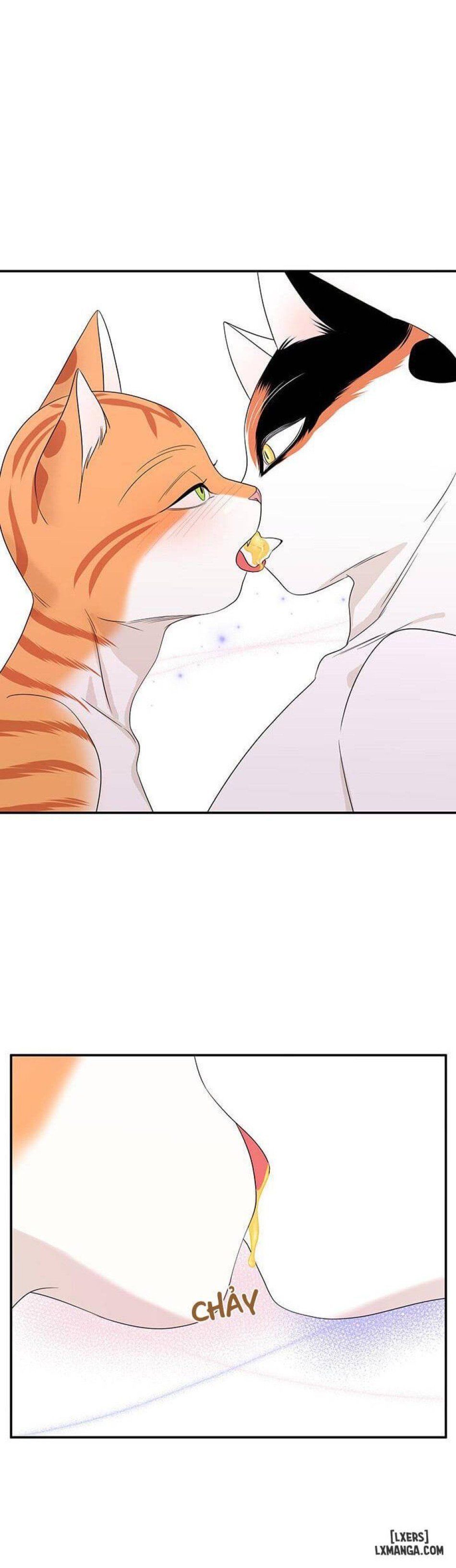 đọc truyện Dự Án Xanh Chương 7 ảnh 19 tại Thiên Thai Truyện