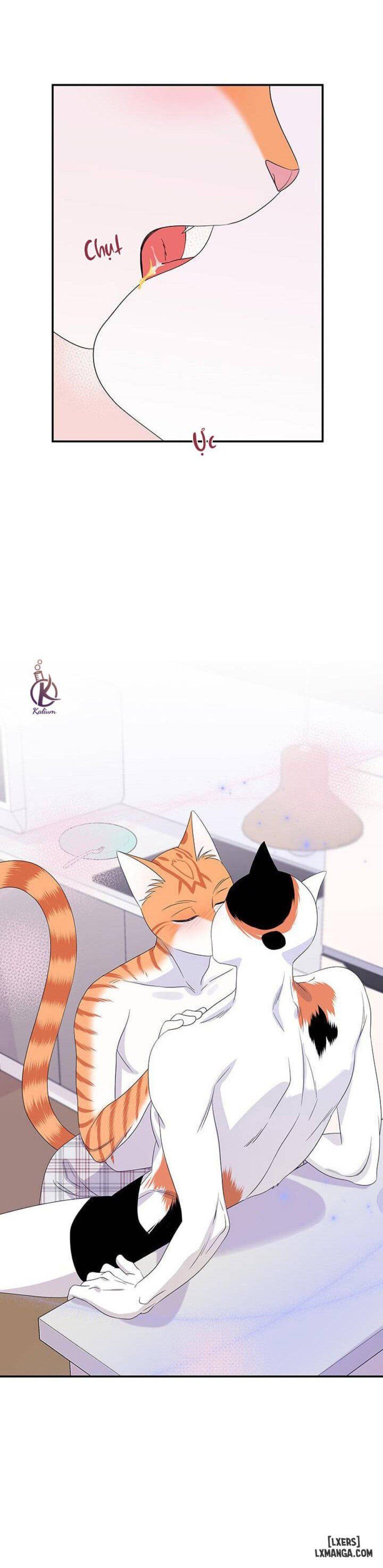 đọc truyện Dự Án Xanh Chương 7 ảnh 20 tại Thiên Thai Truyện