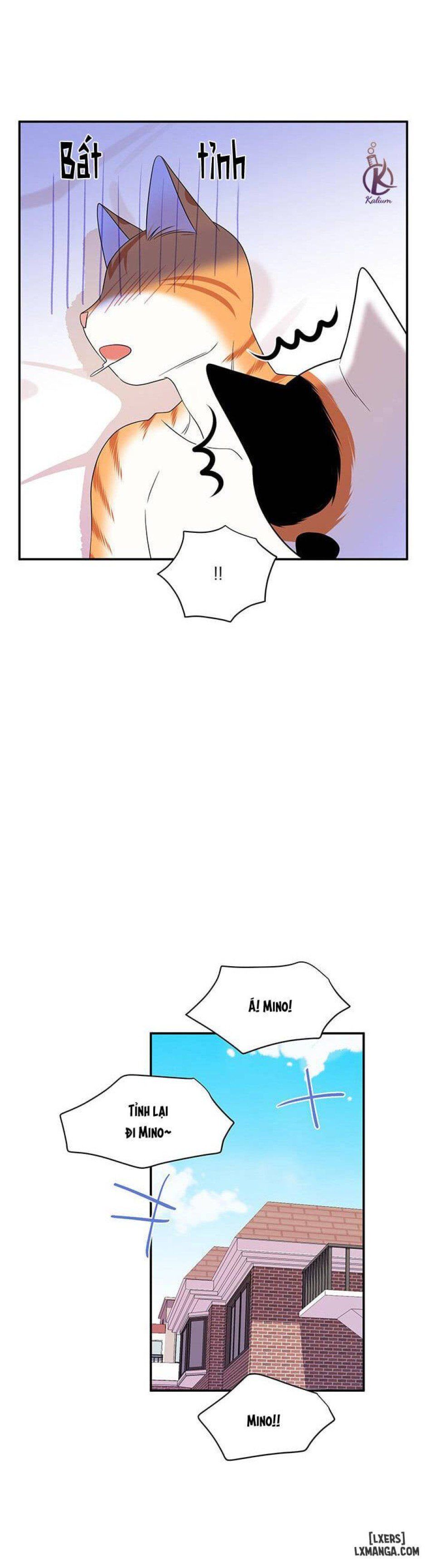 đọc truyện Dự Án Xanh Chương 7 ảnh 5 tại Thiên Thai Truyện