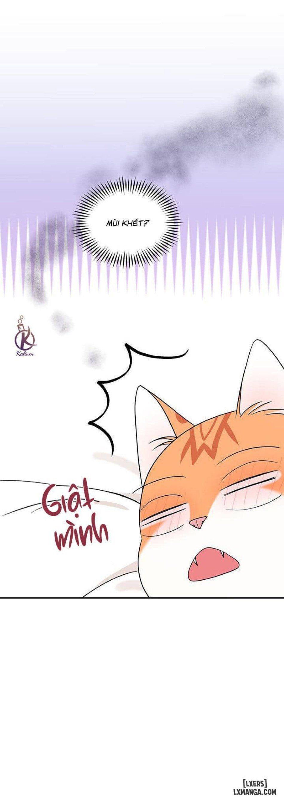 đọc truyện Dự Án Xanh Chương 7 ảnh 9 tại Thiên Thai Truyện