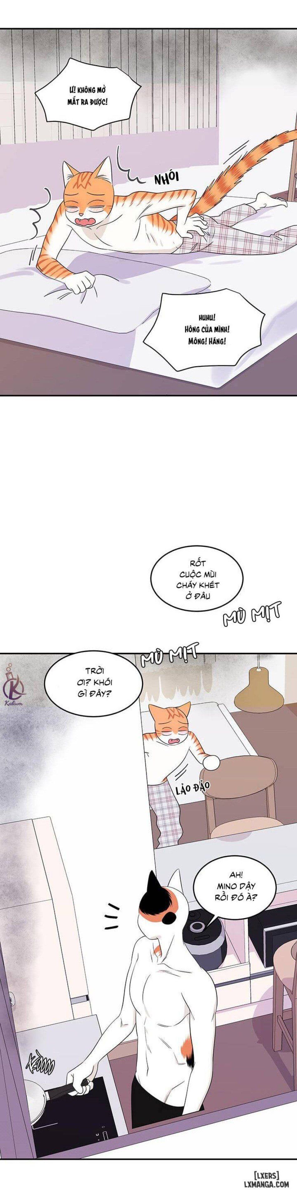 đọc truyện Dự Án Xanh Chương 7 ảnh 10 tại Thiên Thai Truyện