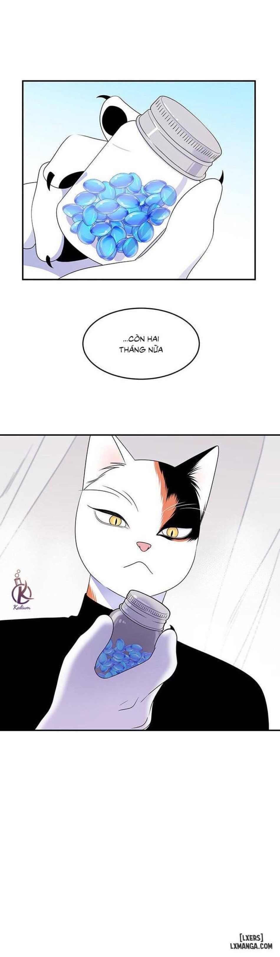 đọc truyện Dự Án Xanh Chương 8 ảnh 18 tại Thiên Thai Truyện