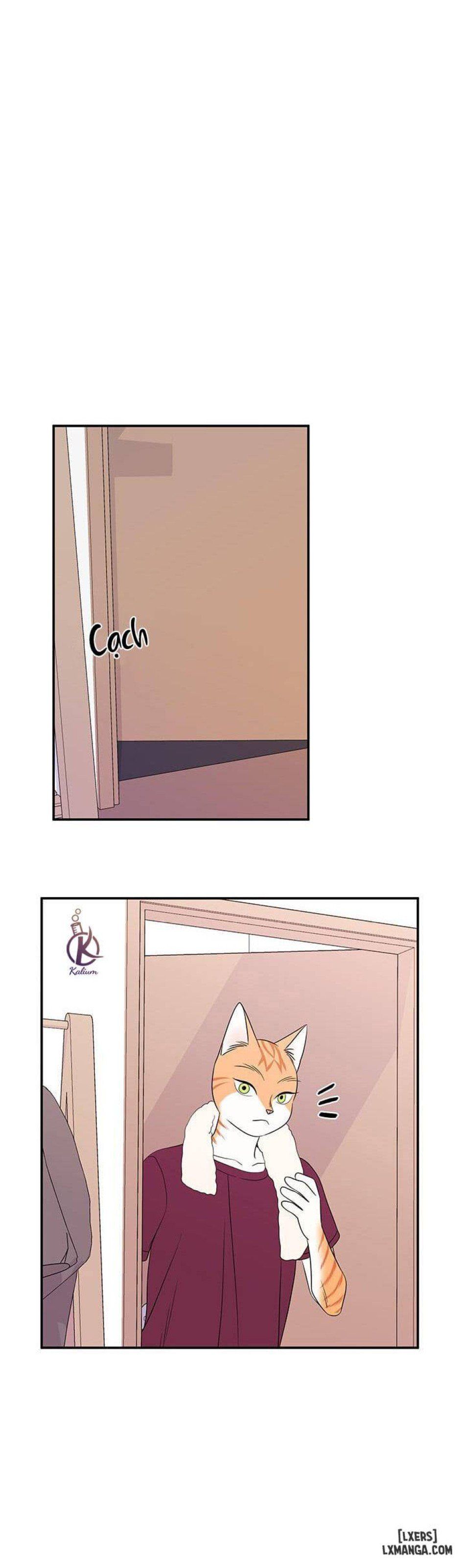 đọc truyện Dự Án Xanh Chương 8 ảnh 19 tại Thiên Thai Truyện