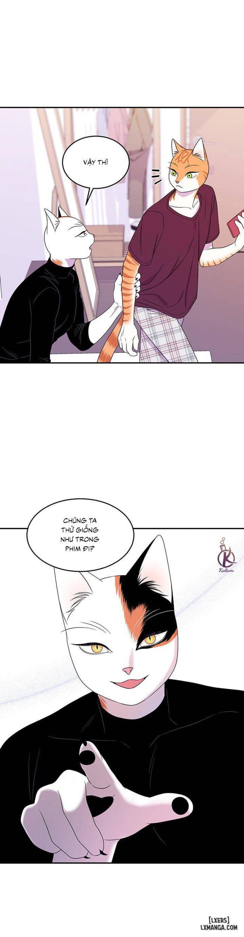 đọc truyện Dự Án Xanh Chương 8 ảnh 28 tại Thiên Thai Truyện