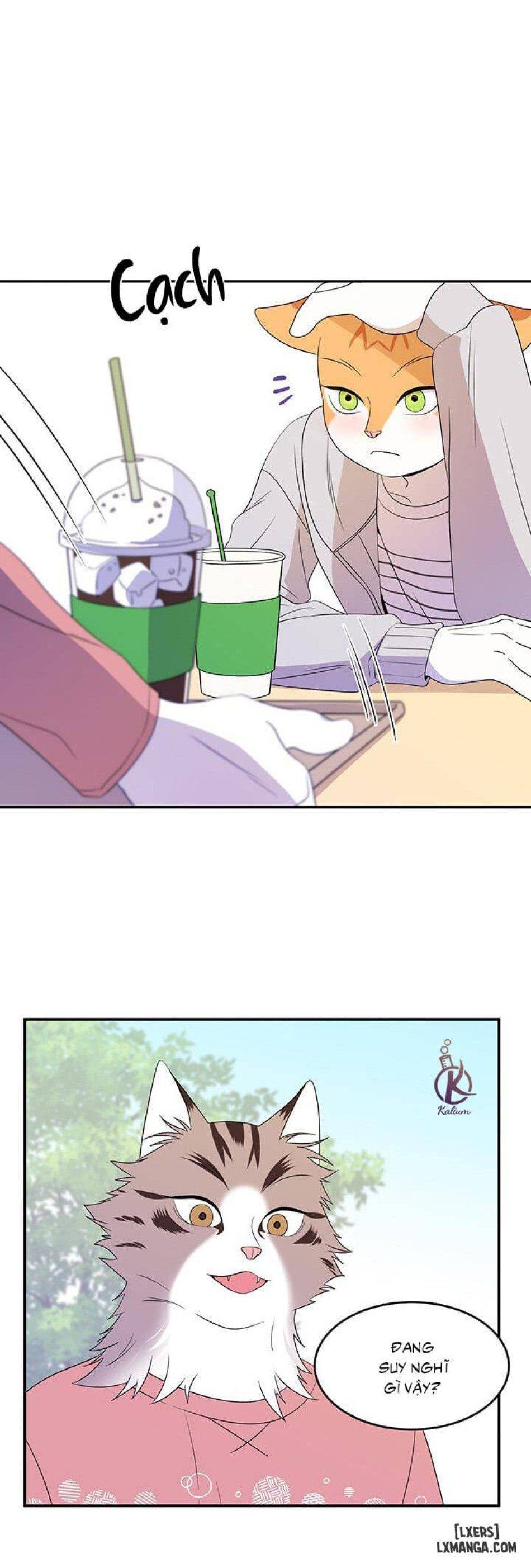 đọc truyện Dự Án Xanh Chương 9 ảnh 3 tại Thiên Thai Truyện